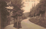 Bad Elster Vogtland Apelt Weg o 1926