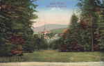 Bad Elster Vogtland von der Agnesruhe * um 1910