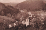01816 Bad Gottleuba klein Tirol o 1924
