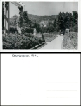 Bad Kissingen Garten *1941
