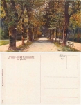 Baden-Baden Lichtentaler Allee Wiro artist card * ca.1920