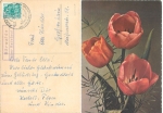 01445 Bärwalde über Radebeul Landpoststempel o 16.3.1960 auf Tulpenkarte