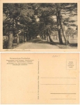 01665 Barnitz Laerchenstrasse  *ca.1930
