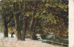 Tiergarten Berlin am grossen Weg original alte Ansichtskarte o 1905