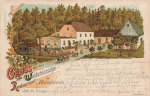 01877 Bischofswerda Waldschlösschen Restaurant Litho o 1899