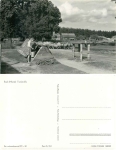 17248 Boek Mueritz Dorfstrasse Herd of sheep *1962 Hanich0514