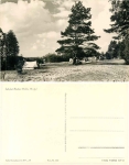 17248 Boeker Mühle Zeltplatz *1962