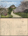 Castle ruins of Schreckenstein near Aussig o 22.7.1920