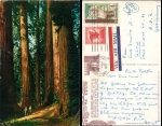 California National Park Congress Group Baum o 04.06.1965