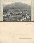 Calmbach Bad Wildbad vom Euberg * ca. 1910