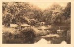 Cottbus Stadtpark * 1953