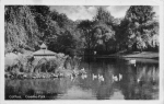 Cottbus Goethe Park o 1955