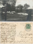 97993 Creglingen Gänsefarm Echtfotokarte o 12.7.1912