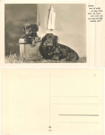Dachshund AK * from 1940