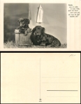 Dackel mit Welpen Fotokarte *ca.1930