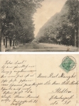 Danzig Grosse Allee o 19.6.1908
