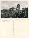 Daubauer Bergland, Burgruine Altperstein * 1939