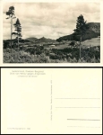 Daubauer Bergland, Blick von Wlkov gegen Altgerstein * 1939