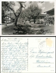 83098 Degerndorf bei Brannenburg  o 23.7. 1954