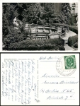 Donaueschingen Donauquelleo 24.8.1953