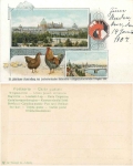 Dresden 25th exhibition of the State Association of Saxon Poultry Breeders Associations 1907