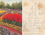 Dresden Anniversary Horticultural Exhibition 1926 ​​​​​​​Spring flowers at the main entrance