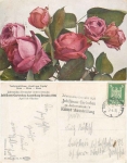 Dresden Jubiläums Gartenbau Ausstellung 1926 Vergnügungspark Offizielle Karte No.23