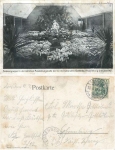 Dresden III International Horticultural Exhibition 1907 Azalea group o 13.5.1907