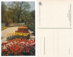 Dresden Annual Show 1937 