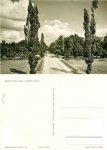 Dresden Querallee in the Great Garden *1968 Hanich1918