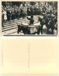 Dresden First Arms Day of the German Cavalry July 12, 1931 Hahn photo 8332