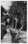 Weisser Hirsch Dresden Heidemuehlen Weg o 1936