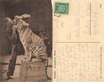 Dresden Zoological Garden Tiger Training o 1925