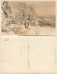 01778 Geising Erzgebirge * um 1940 ​​​​​​​Verlag Hahn-Foto6800