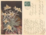 Edelweiss Photochromie Serie 594 Nr. 1567 o 2.7.1936