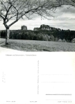 01814 Falkenstein and Schrammsteine ​​climbing rocks Saxon Switzerland *1977 Hanich2345
