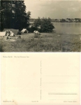 16837 Flecken Zechlin Zeltplatz Schwarzer See *1956