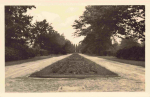 Forst Lausitz Wehrinsel Haupteingang 40 jahre ostdeutscher Rosengarten * 1953