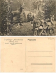 09599 Freiberg Erzgebirge exhibition * 1912 Siorama hunting department