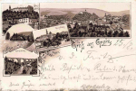Greiz Vogtland Gruss aus... Litho o 1894