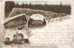 Greiz Vogtland Gruss aus... Litho o 1900