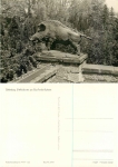 01737 Grillenburg Wild boar at Elsa-Fenske-Heim * 1982 Hanich1444
