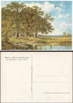 HDK218 Fritz Halberg-Kraus Eichen am Wasser * around 1940