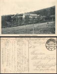 Heidelberg Speyererhof o 10.06.1917