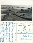 18565 Hiddensee o 8.8.1956