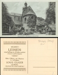 Hildesheim 1000 year old rose bush * 1920