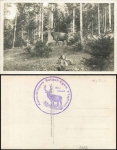 Deer in the Rottach-Egern wildlife park * around 1940