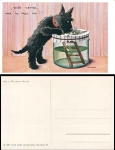 Hund mit Wetter frosch Künstlerkarte Irm von Walmont *ca.1920