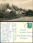 Insel Hiddensee Vitte Norderende o 29.6.1965