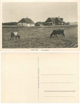 24980 Sylt Friesenhaeuser *ca. 1930